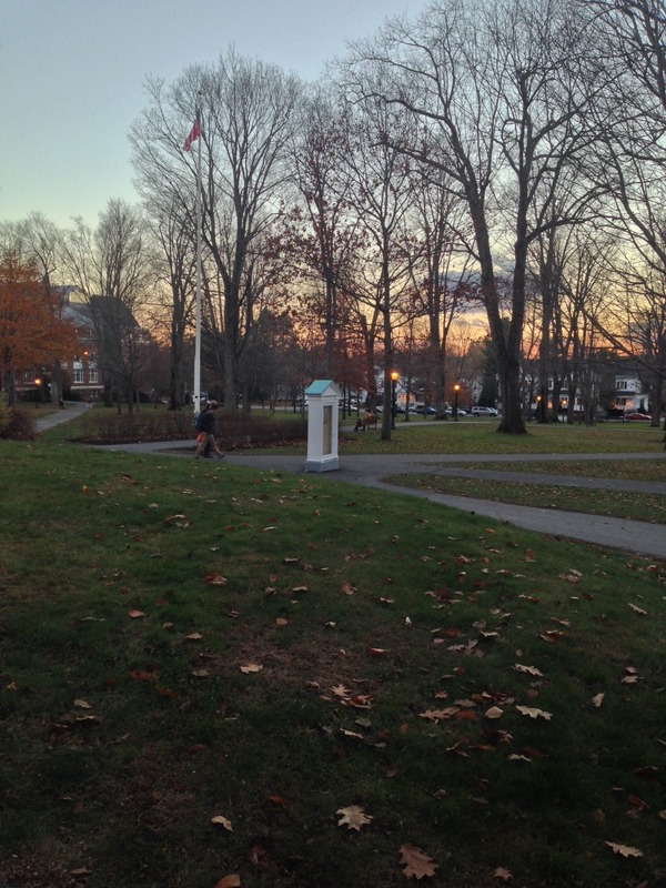 mouthpiece current sunset.jpg