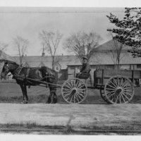 mail carrier and horse.jpg